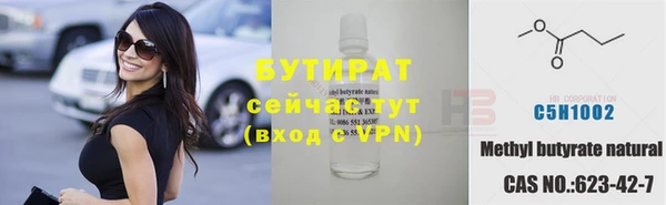 сатива Верея