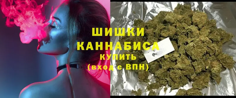 Конопля OG Kush  Сосновка 